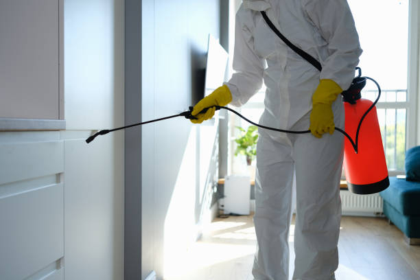 Best Residential Mold Removal  in Bronson, MI