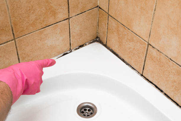 Best Certified Mold Removal  in Bronson, MI